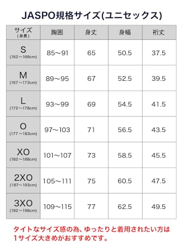 Phiten T Shirt Raku Ringan M Light Gray Putih