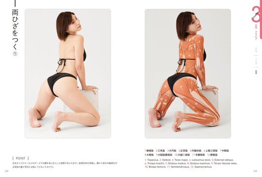 Artist Anatomy Guide for Body Surface Muscles and Poses Illustrated - WAFUU JAPAN