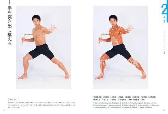 Artist Anatomy Guide for Body Surface Muscles and Poses Illustrated - WAFUU JAPAN