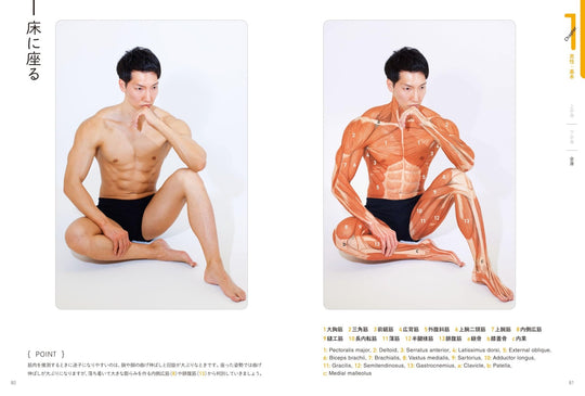 Artist Anatomy Guide for Body Surface Muscles and Poses Illustrated - WAFUU JAPAN