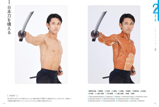 Artist Anatomy Guide for Body Surface Muscles and Poses Illustrated - WAFUU JAPAN