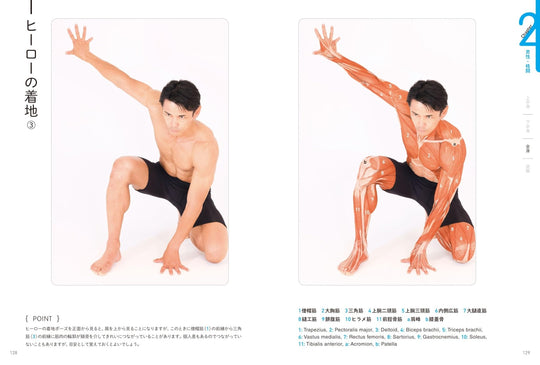 Artist Anatomy Guide for Body Surface Muscles and Poses Illustrated - WAFUU JAPAN
