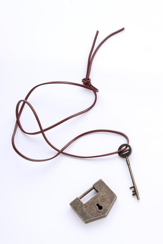 Attack on Titan Art Collection FLY book - WAFUU JAPAN