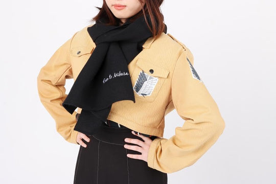 Attack on Titan Art Collection FLY book - WAFUU JAPAN