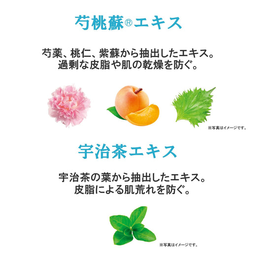 Attenir Skin Clear Cleanse Aqua Liquid Type Regular Bottle 175mL 2 Months - WAFUU JAPAN