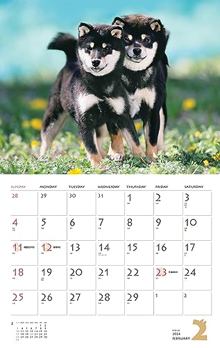 Calendar 2024 Shiba Inu (Monthly Calendar/Wall Hanging) - WAFUU JAPAN