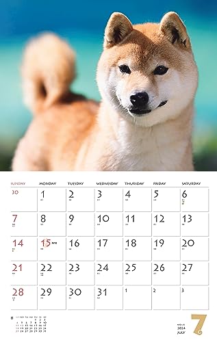 Calendar 2024 Shiba Inu (Monthly Calendar/Wall Hanging) - WAFUU JAPAN
