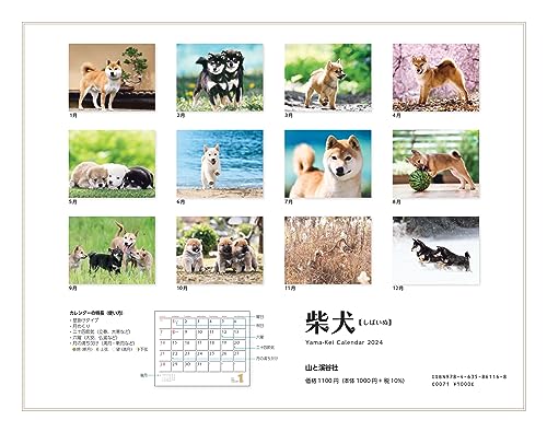 Calendar 2024 Shiba Inu (Monthly Calendar/Wall Hanging) - WAFUU JAPAN