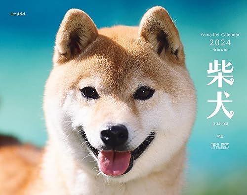 Calendar 2024 Shiba Inu (Monthly Calendar/Wall Hanging) - WAFUU JAPAN