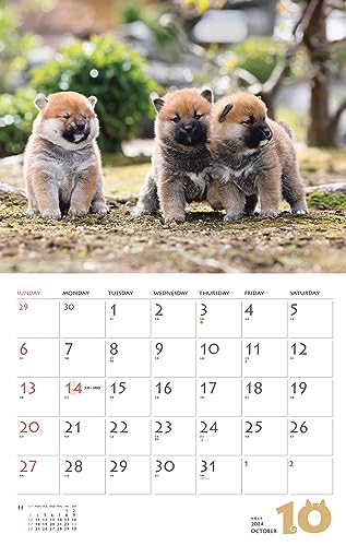 Calendar 2024 Shiba Inu (Monthly Calendar/Wall Hanging) - WAFUU JAPAN