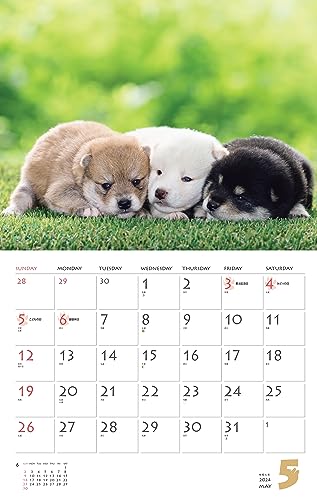 Calendar 2024 Shiba Inu (Monthly Calendar/Wall Hanging) - WAFUU JAPAN