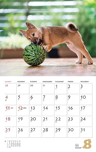 Calendar 2024 Shiba Inu (Monthly Calendar/Wall Hanging) - WAFUU JAPAN