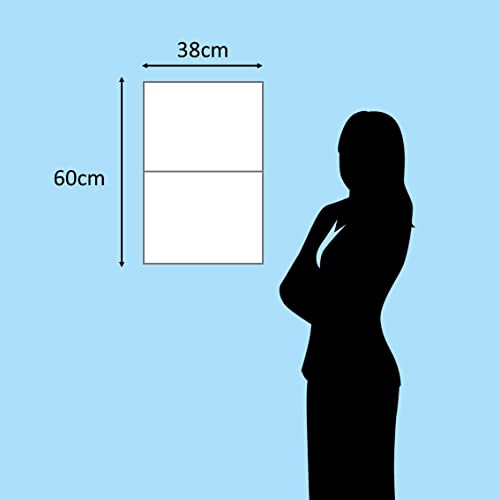 Calendar 2024 Shiba Inu (Monthly Calendar/Wall Hanging) - WAFUU JAPAN