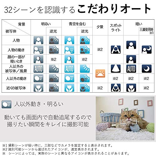 Canon IXY 650 silver compact digital camera 12x optical zoom Wi-Fi IXY650SL - WAFUU JAPAN