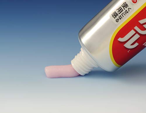 Daiichi Sankyo Healthcare Oil Clean Dental L Total Care Single 100g peppermint - WAFUU JAPAN