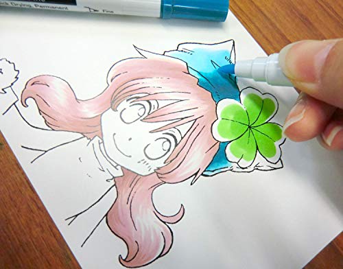 Deleter Neopico Skin color 12Color Set - WAFUU JAPAN