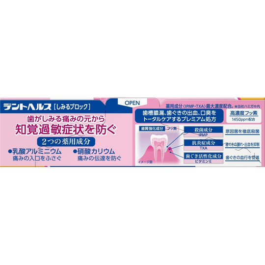 DentHealth Stinging Block Toothpaste for Dental Abscess Prevention 85g - WAFUU JAPAN