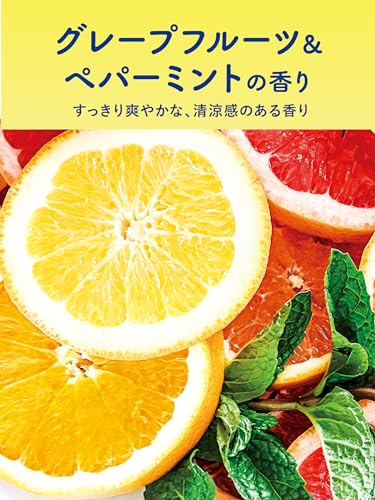 Diane Grapefruit & Peppermint Fragrance Extra Fresh & Repair Shampoo & Treatment set 450ml - WAFUU JAPAN