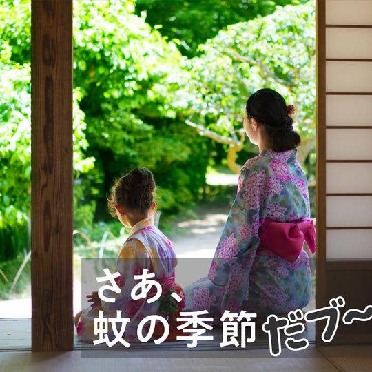 Earth Nomat Mosquito Repellent Black Pig Indoor Outdoor Unscented 180 Days Set - WAFUU JAPAN