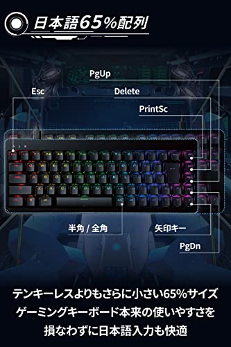 ELECOM Gaming Keyboard V-custom VK300C Wired RGB Tenkeyless Mechanical Neo Clutch Keycap Blue Axis Clicky TK-VK300CBK - WAFUU JAPAN