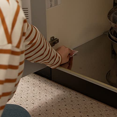 Fumakiller Rodenticide Dorades Power Fast-Acting Premium 20 packets - WAFUU JAPAN