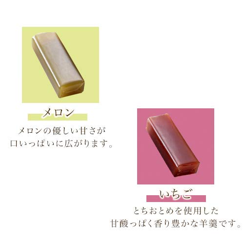 Ginza Sembikiya Fruit Yokan Assortment — Gift Japanese Sweets - WAFUU JAPAN