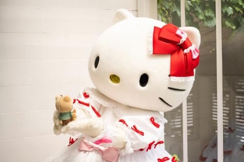 Honolulu Cookie Company Hello Kitty Plush Charm Book Limited Edition - WAFUU JAPAN