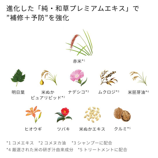 ICHIKAMI Smoothing Treatment Care Rinse-Off Treatment Hair Pack 230g - WAFUU JAPAN