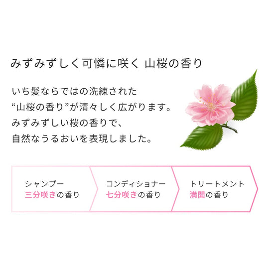 ICHIKAMI Smoothing Treatment Care Rinse-Off Treatment Hair Pack 230g - WAFUU JAPAN