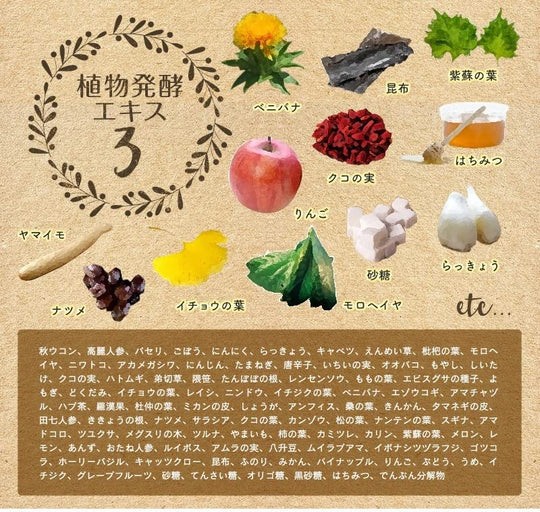 Infinity Enzyme Supplement Large Capacity 100 Days Supply - WAFUU JAPAN