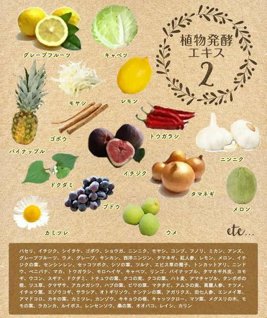 Infinity Enzyme Supplement Large Capacity 100 Days Supply - WAFUU JAPAN