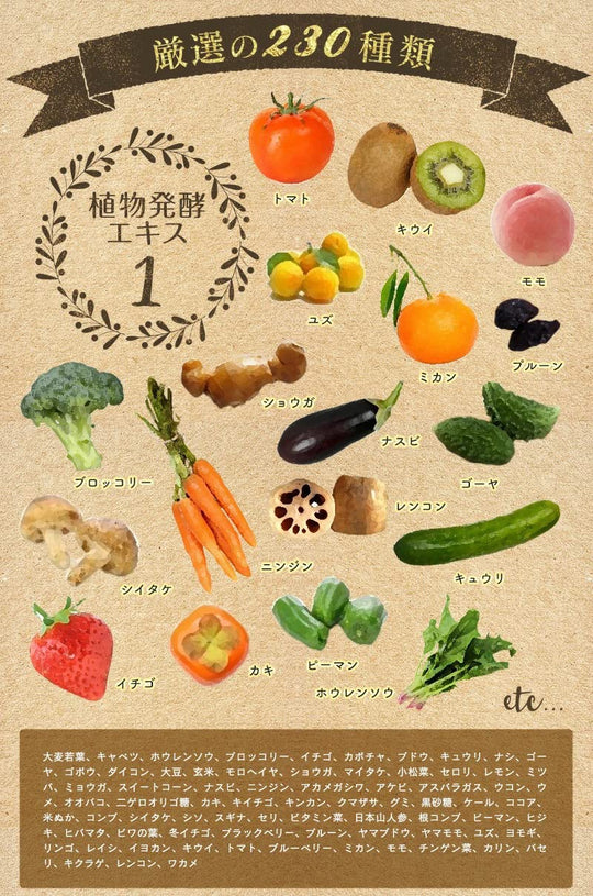 Infinity Enzyme Supplement Large Capacity 100 Days Supply - WAFUU JAPAN