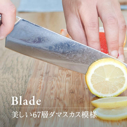 ISSIKI Gyuto knife Chef's knife V - gold No10 Damascus stainless steel 200mm - WAFUU JAPAN