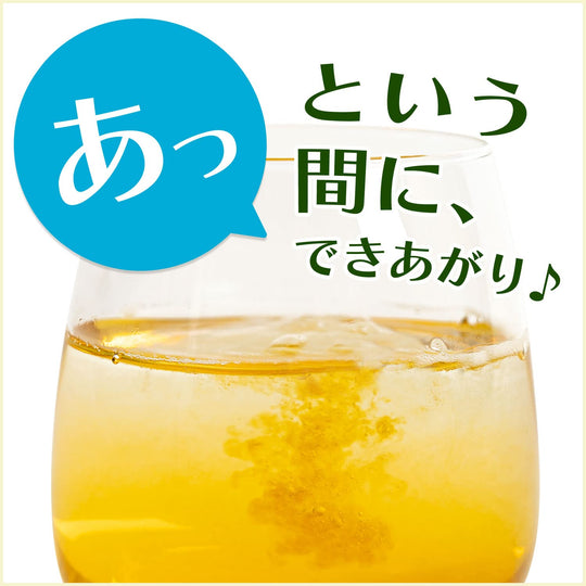 ITO EN Oi-cha Houjicha Powder 40g bag with zipper - WAFUU JAPAN