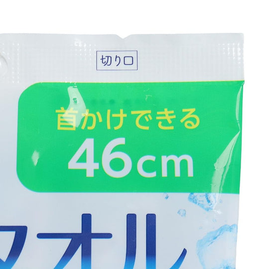 Kao Biore Cooling Towels Unscented 5 sheets - WAFUU JAPAN