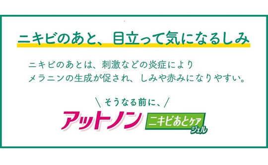 Kobayashi Atnon Acne Scar Care Gel 10g - WAFUU JAPAN