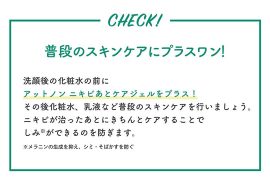 Kobayashi Atnon Acne Scar Care Gel 10g - WAFUU JAPAN