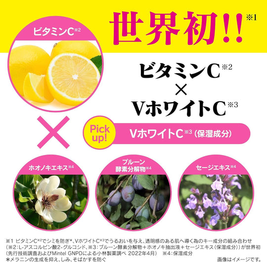 Kobayashi Keshimin Moisturizing Lotion with Vitamin C Derivative 160ml - WAFUU JAPAN