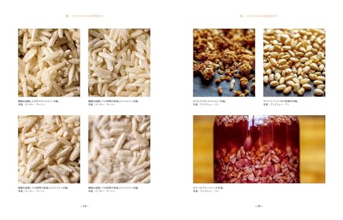 Koji: From how it is made to how it is used Japanese fermentation culture evolving around the world - WAFUU JAPAN