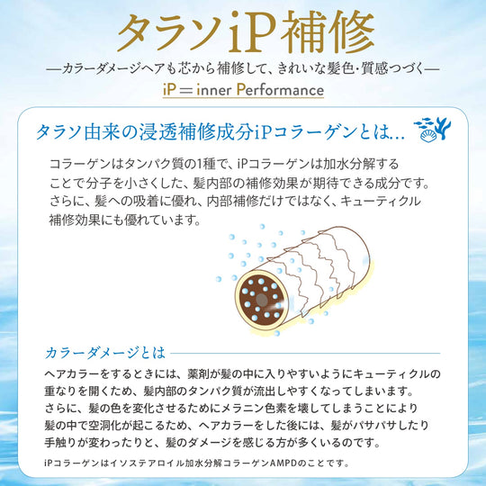 KOSE Jurème iP Thalasso Repair Intensive Water Retention Serum Hair Mask 230g - WAFUU JAPAN