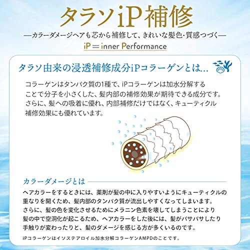 KOSE Jurème iP Thalasso Repair Repair Serum Treatment (Moist & Smooth) 480mL - WAFUU JAPAN