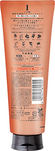 Kracie ICHIKAMI Dense W Moisturizing Care Treatment 230g - WAFUU JAPAN