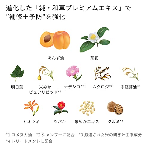 Kracie ICHIKAMI Dense W Moisturizing Care Treatment 230g - WAFUU JAPAN
