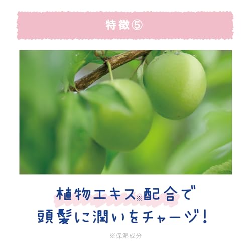 LIBERTA Coolist Scalp Cooler Floral Mint Heat Protection Hair Dryer - WAFUU JAPAN