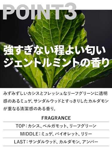 MARO 3D Volume Up Shampoo EX Men's Super Dense Foam Defensive Scalp Non-Silicone 460ml - WAFUU JAPAN