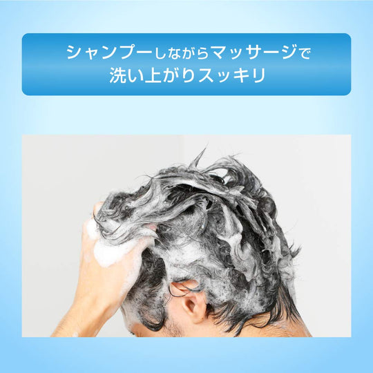 MEDIQUICK H Scalp Medical Shampoo for Preventing Dandruff and Itching 320mL - WAFUU JAPAN