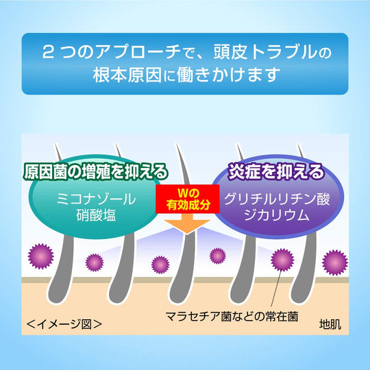 MEDIQUICK H Scalp Medical Shampoo for Preventing Dandruff and Itching 320mL - WAFUU JAPAN