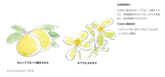 MUJI Sensitive Skin Sunscreen Milk SPF27 150ml 15252589 - WAFUU JAPAN