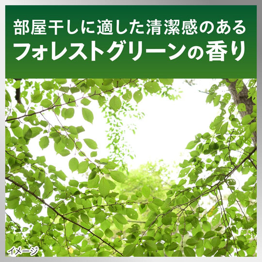 Nanox One Room Drying Detergent 640g Forest Green Odor Control Antibacterial - WAFUU JAPAN