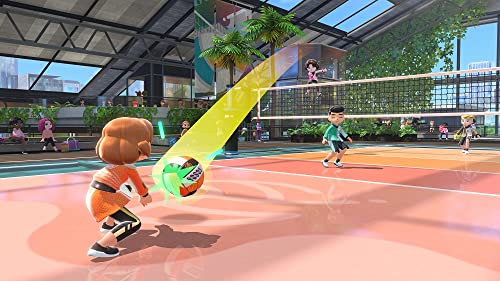 Nintendo Switch Sports soft - WAFUU JAPAN